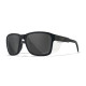 Очки WILEY X TREK - CAPTIVATE™ Polarized Grey / Matte Black