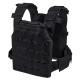Плитоноска Plate Carrier Perun 2-20 Multicam