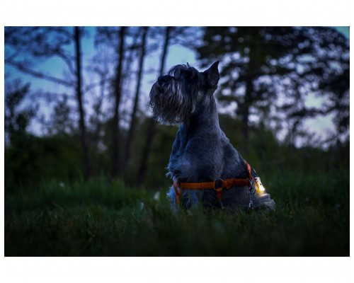 Фонарь ARMYTEK ZIPPY BLUE